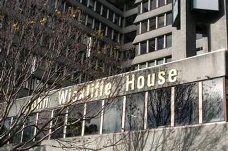 Photo of property in 265 Princes Street, Hawera, 4610