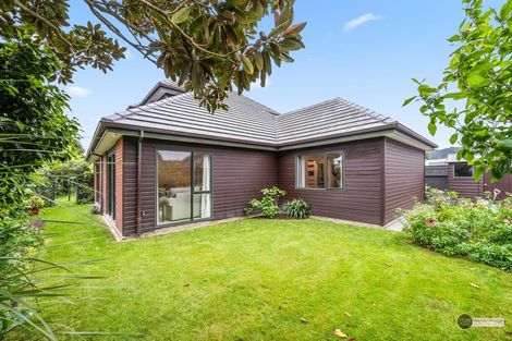 Photo of property in 96 Pretoria Street, Hutt Central, Lower Hutt, 5010