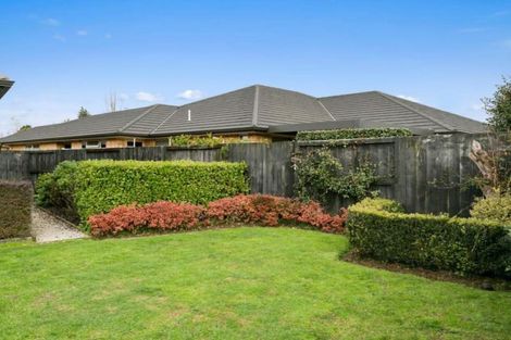 Photo of property in 18a Jasmine Place, Cambridge, 3434