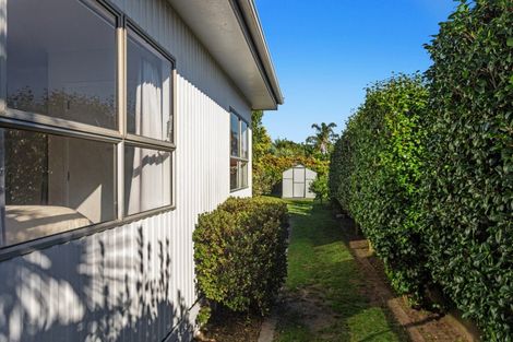 Photo of property in 38a1 Victoria Avenue, Whakatane, 3120