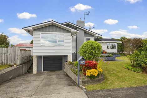 Photo of property in 24 Featherston Street, Levin, 5510