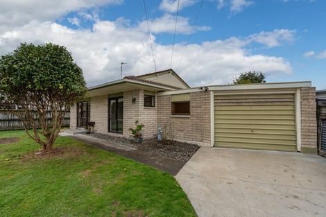 Photo of property in 52 Ascot Road, Chartwell, Hamilton, 3210