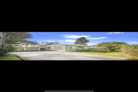 Photo of property in 19 Rimu Street, New Lynn, Auckland, 0600