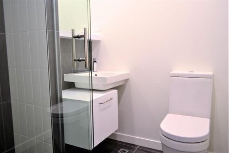 Photo of property in Vsp South, 507/168u Victoria Street, Te Aro, Wellington, 6011