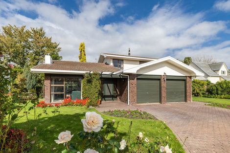 Photo of property in 15 Corwen Place, Mayfair, Hastings, 4122