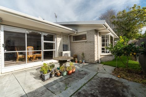 Photo of property in 35 Alison Street, Hamilton Lake, Hamilton, 3204
