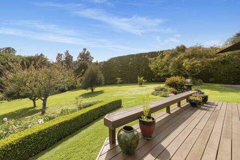 Photo of property in 236 Hot Springs Road, Tahawai, Katikati, 3178