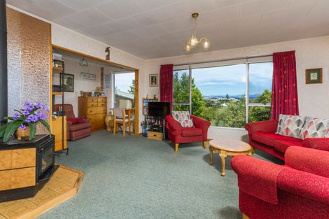 Photo of property in 12 Farnham Drive, Richmond, 7020