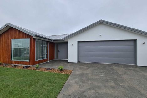 Photo of property in 19 Ranginui Drive, Kaiapoi, 7630