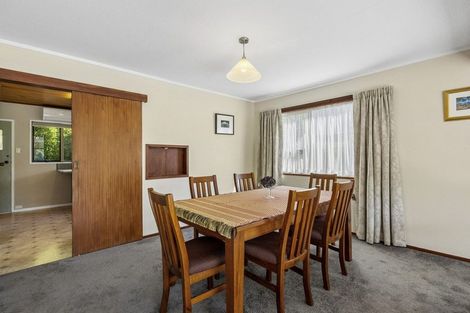 Photo of property in 37 Garden Place, Glenleith, Dunedin, 9010