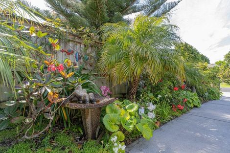 Photo of property in 36 Oyster Drive, Cooks Beach, Whitianga, 3591