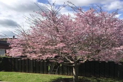 Photo of property in 194 Cook Street, Howick, Auckland, 2014