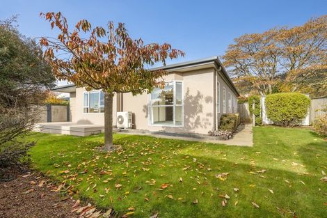 Photo of property in 14 Rochfort Drive, Richmond, 7020