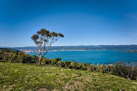 Photo of property in 50 Dungarvan Road, Newlands, Wellington, 6037