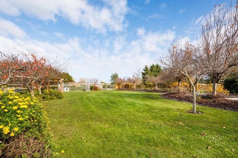 Photo of property in 164 Awahuri Feilding Road, Feilding, 4775