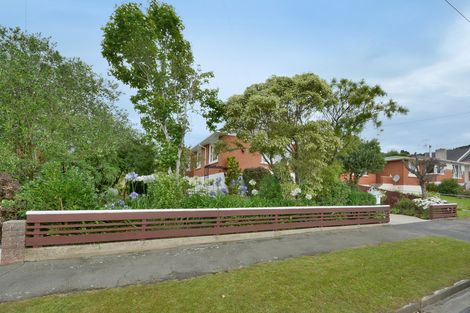 Photo of property in 93 Elwyn Crescent, Green Island, Dunedin, 9018