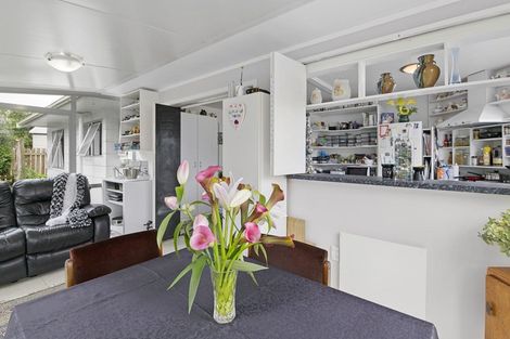Photo of property in 29a Roosevelt Street, Levin, 5510