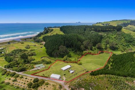 Photo of property in 603f State Highway 2 West, Pikowai, 3194
