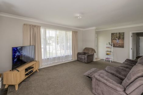 Photo of property in 9 Ferguson Street, Levin, 5510