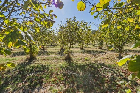 Photo of property in 599 Pesters Road, West Eyreton, 7475