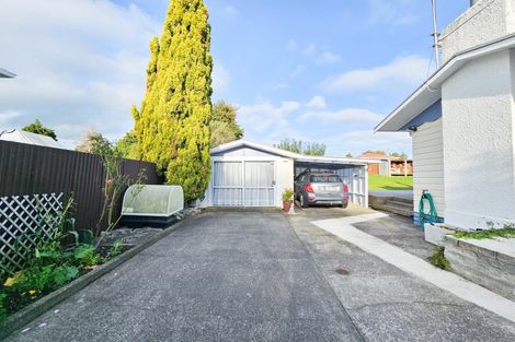 Photo of property in 19 Skerman Street, Marton, 4710