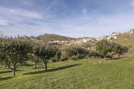 Photo of property in 101 Laidmore Road, Broomfield, 7482