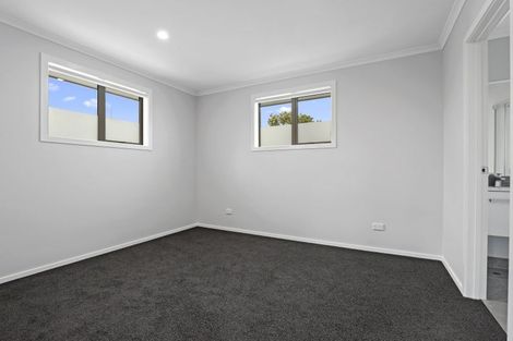 Photo of property in 97u8 Seddon Road, Frankton, Hamilton, 3204