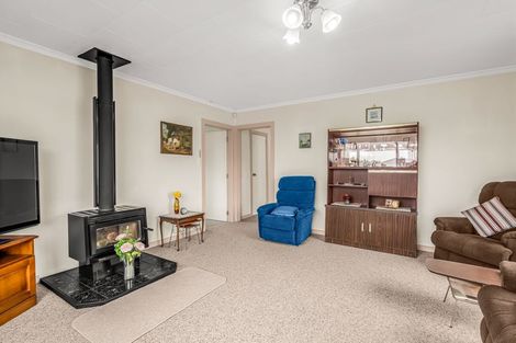 Photo of property in 16 Normanby Street, Rakaia, 7710
