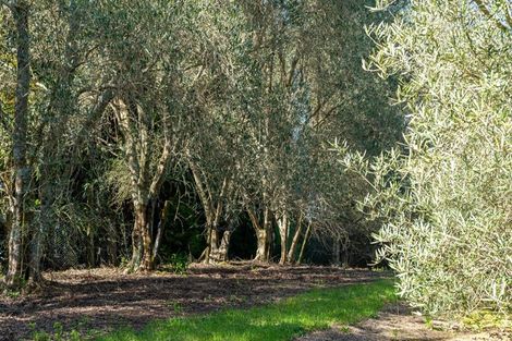 Photo of property in 12 Walker Road West, Aongatete, Katikati, 3178