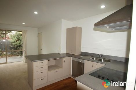 Photo of property in 13a Buffon Street, Waltham, Christchurch, 8023