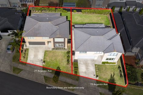 Photo of property in 75 Argento Avenue, Flat Bush, Auckland, 2019