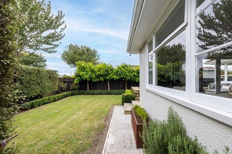 Photo of property in 909 Churchill Street, Akina, Hastings, 4122