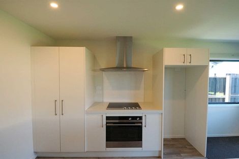 Photo of property in 97 Skyhawk Road, Wigram, Christchurch, 8042