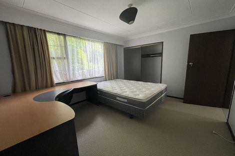 Photo of property in 100 London Street, Dunedin Central, Dunedin, 9016