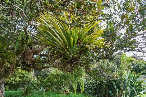 Photo of property in 2565 Rings Road, Coromandel, 3506