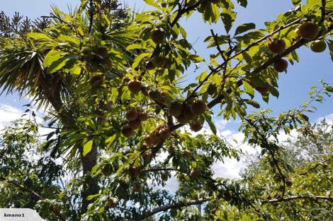 Photo of property in 22 Hartley Terrace, Massey, Auckland, 0614