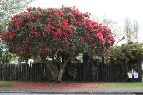 Photo of property in 124a Koutu Road, Kawaha Point, Rotorua, 3010