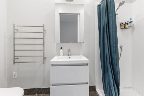 Photo of property in Aniva Terrace, 14 Arney Street, Newtown, Wellington, 6021