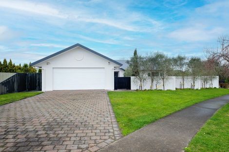Photo of property in 55 Palmbrook Avenue, Havelock North, 4130