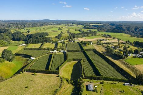 Photo of property in 585d Mclaren Falls Road, Omanawa, Tauranga, 3171