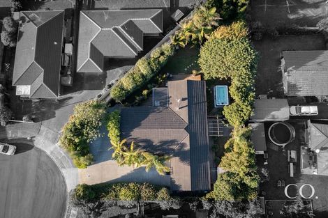 Photo of property in 16 Solway Place, Mount Maunganui, 3116