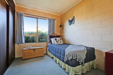 Photo of property in 500 Poplar Place, Akina, Hastings, 4122