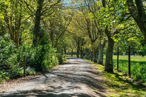 Photo of property in 231 Chester Road, West Taratahi, Carterton, 5791
