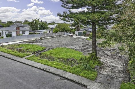 Photo of property in 113 Davis Street, Saint Leonards, Hastings, 4120
