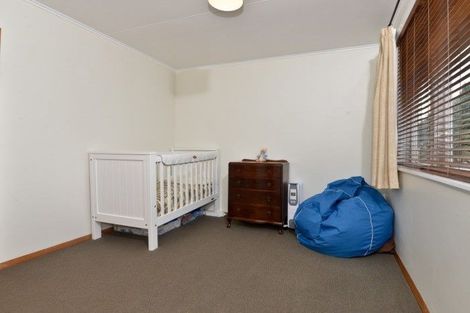 Photo of property in 15 Bellmont Avenue, Chartwell, Hamilton, 3210