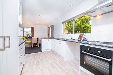 Photo of property in 30 Holland Street, Pukekohe, 2120