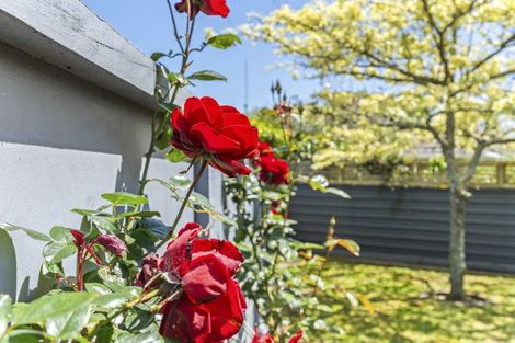 Photo of property in 271a Carrington Street, Vogeltown, New Plymouth, 4310