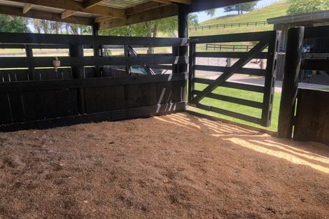 Photo of property in 57 Pukerimu Lane, Cambridge, 3495