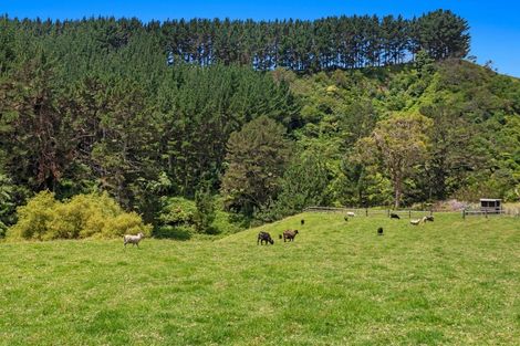 Photo of property in 603f State Highway 2 West, Pikowai, 3194