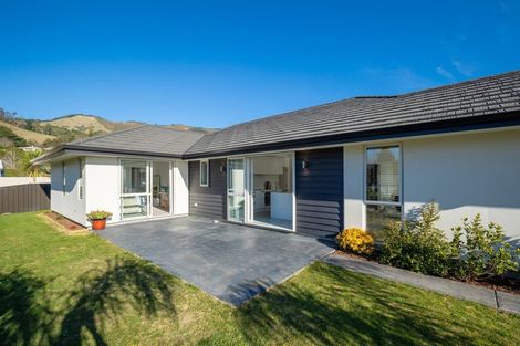 Photo of property in 1 Penny Lane, Richmond, 7020